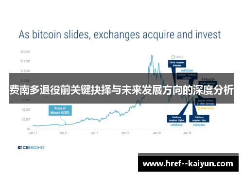 费南多退役前关键抉择与未来发展方向的深度分析 费南多退役前关键抉择与未来发展方向的深度分析