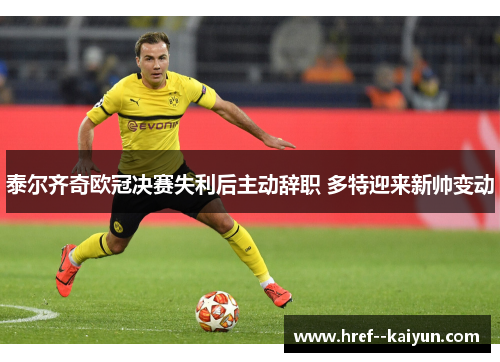 泰尔齐奇欧冠决赛失利后主动辞职 多特迎来新帅变动 泰尔齐奇欧冠决赛失利后主动辞职 多特迎来新帅变动